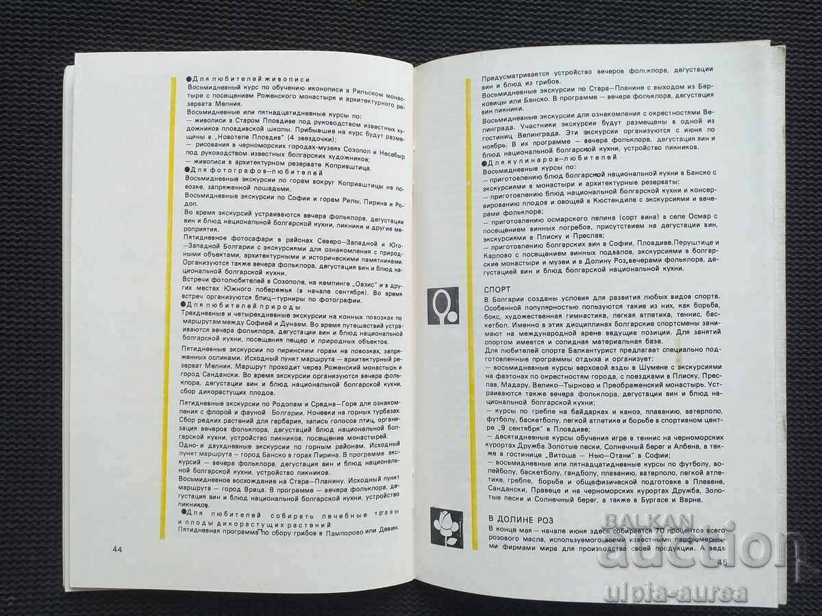 Auction  Social brochure