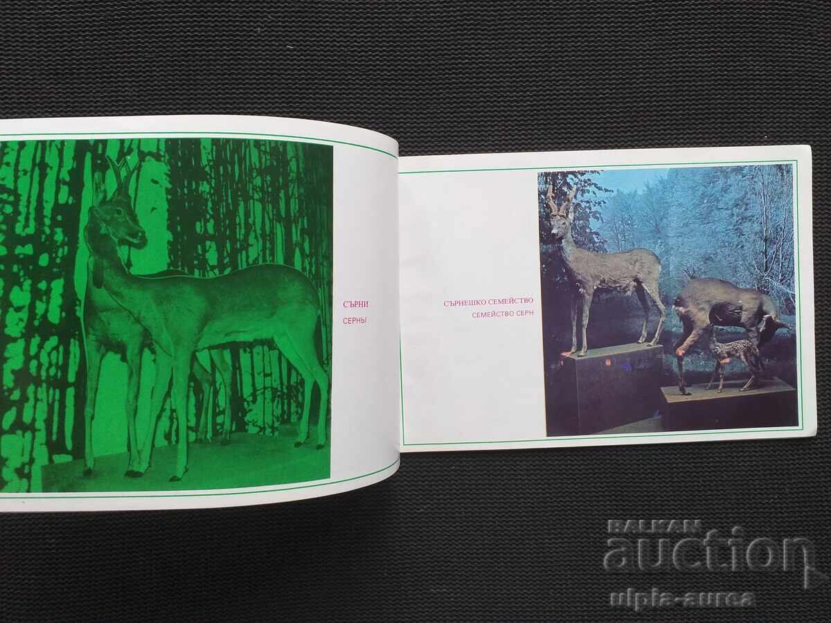 Village of Cherni Osam Social brochure with price 2.50 BGN | € 1.28 Village of Cherni Osam Social brochure with price 2.50 BGN | € 1.28