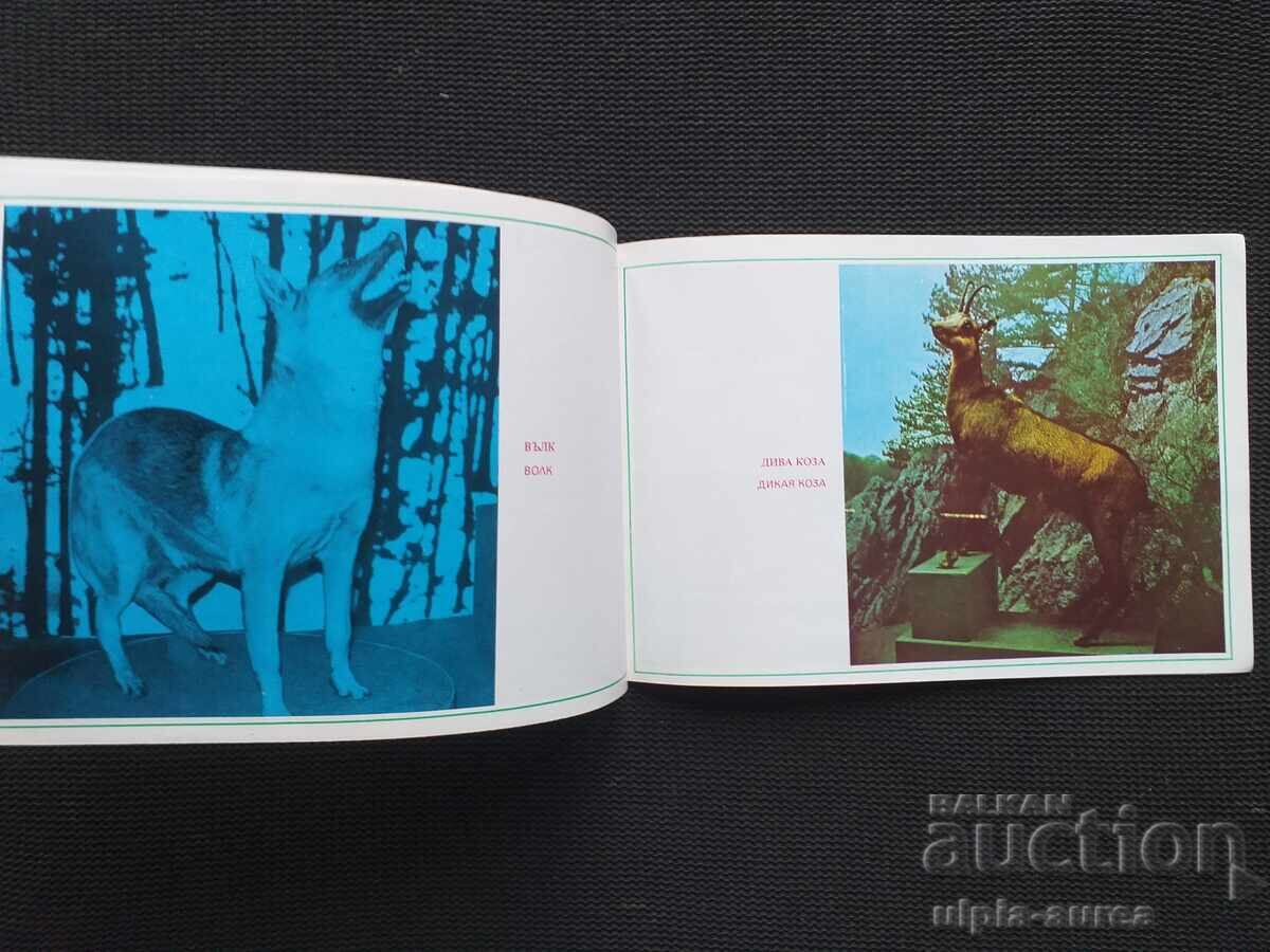 Auction Village of Cherni Osam Social brochure Auction Village of Cherni Osam Social brochure