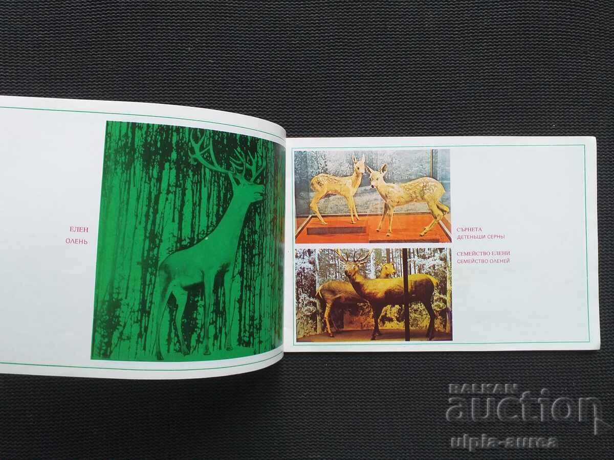 Delivery of Village of Cherni Osam Social brochure Delivery of Village of Cherni Osam Social brochure