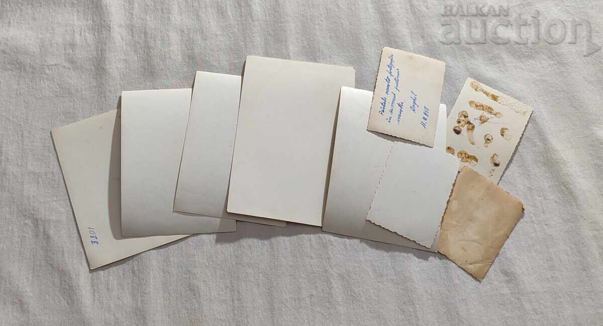 Delivery of MOTORS 60-70s of the XX century. PHOTOS LOT 9 ISSUE Delivery of MOTORS 60-70s of the XX century. PHOTOS LOT 9 ISSUE