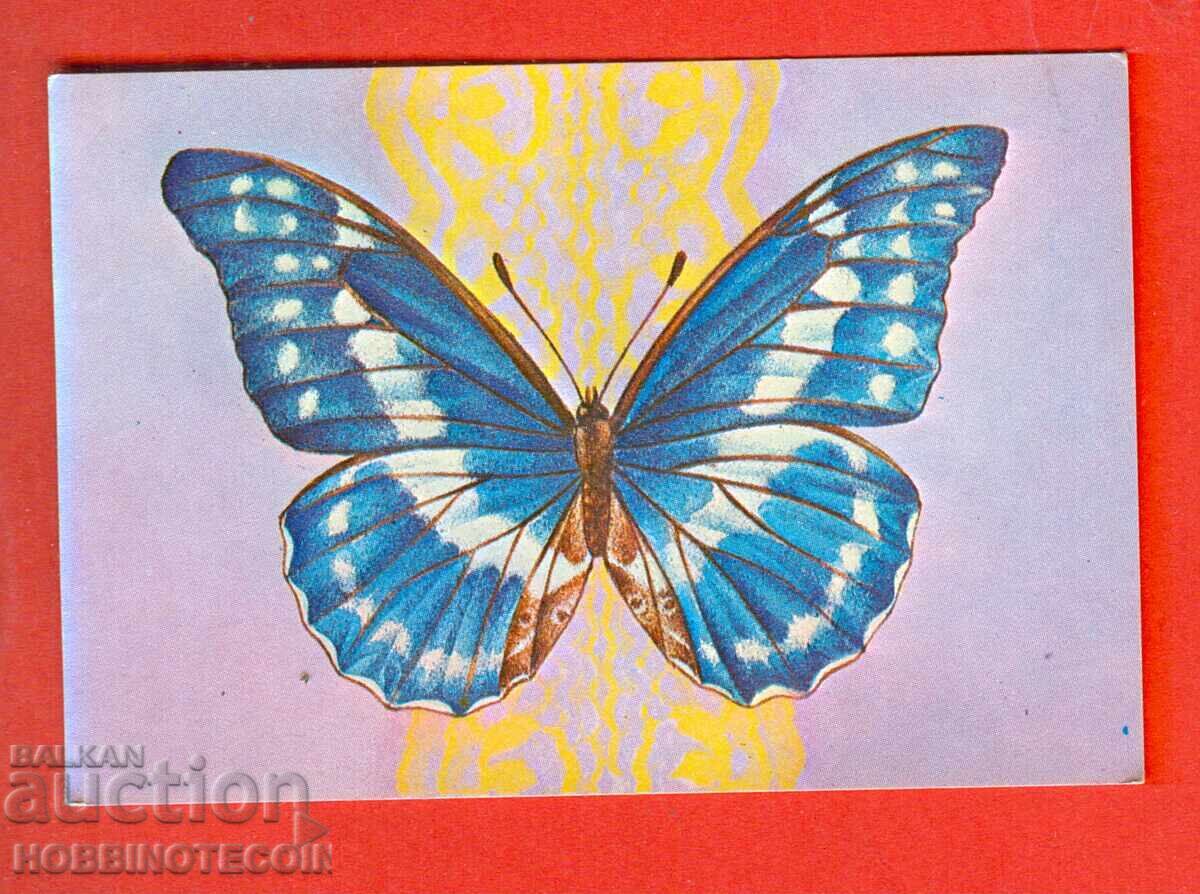 CALENDAR - FLUTURE - 1978 CALENDAR - FLUTURE - 1978