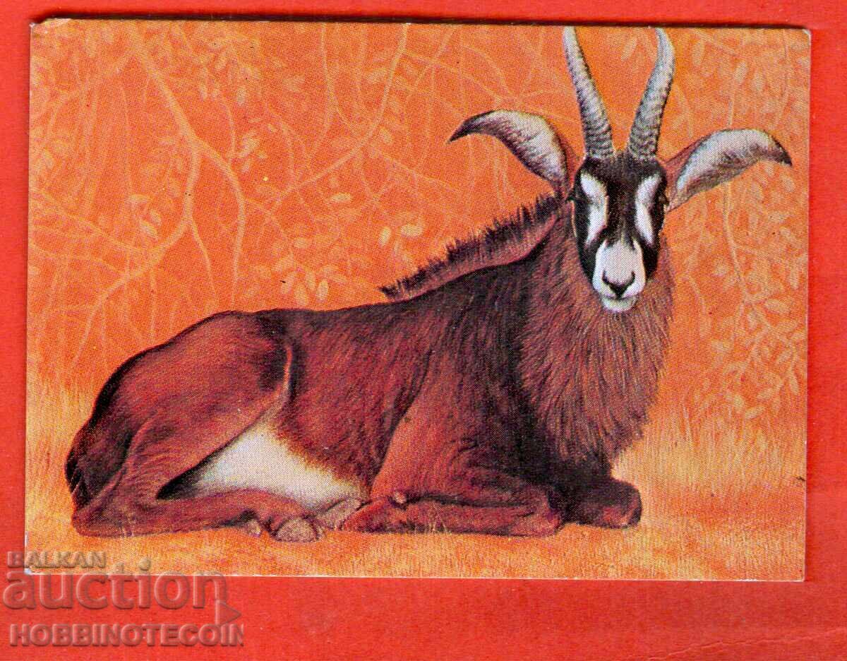 КАЛЕНДАРЧЕ - АНТИЛОПА - 1979 г КАЛЕНДАРЧЕ - АНТИЛОПА - 1979 г