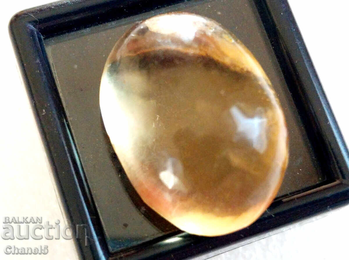 NATURAL BALTIC AMBER - CABOCHON - 12.75 ct (366) with price 42.00 BGN | € 21.47 NATURAL BALTIC AMBER - CABOCHON - 12.75 ct (366) with price 42.00 BGN | € 21.47