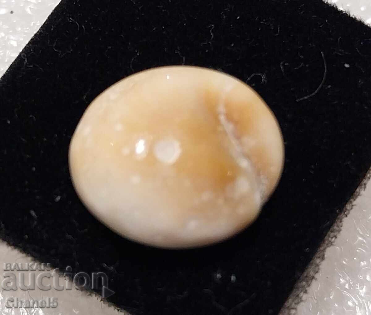 NATURAL "EYE OF SHIVA" (163) with price 9.90 BGN | € 5.06 NATURAL "EYE OF SHIVA" (163) with price 9.90 BGN | € 5.06