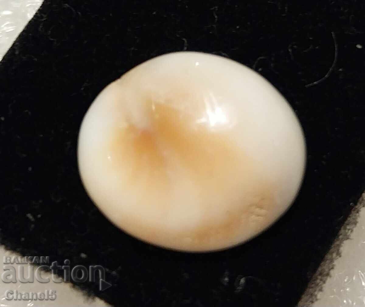 NATURAL "EYE OF SHIVA" (90) with price 9.90 BGN | € 5.06 NATURAL "EYE OF SHIVA" (90) with price 9.90 BGN | € 5.06