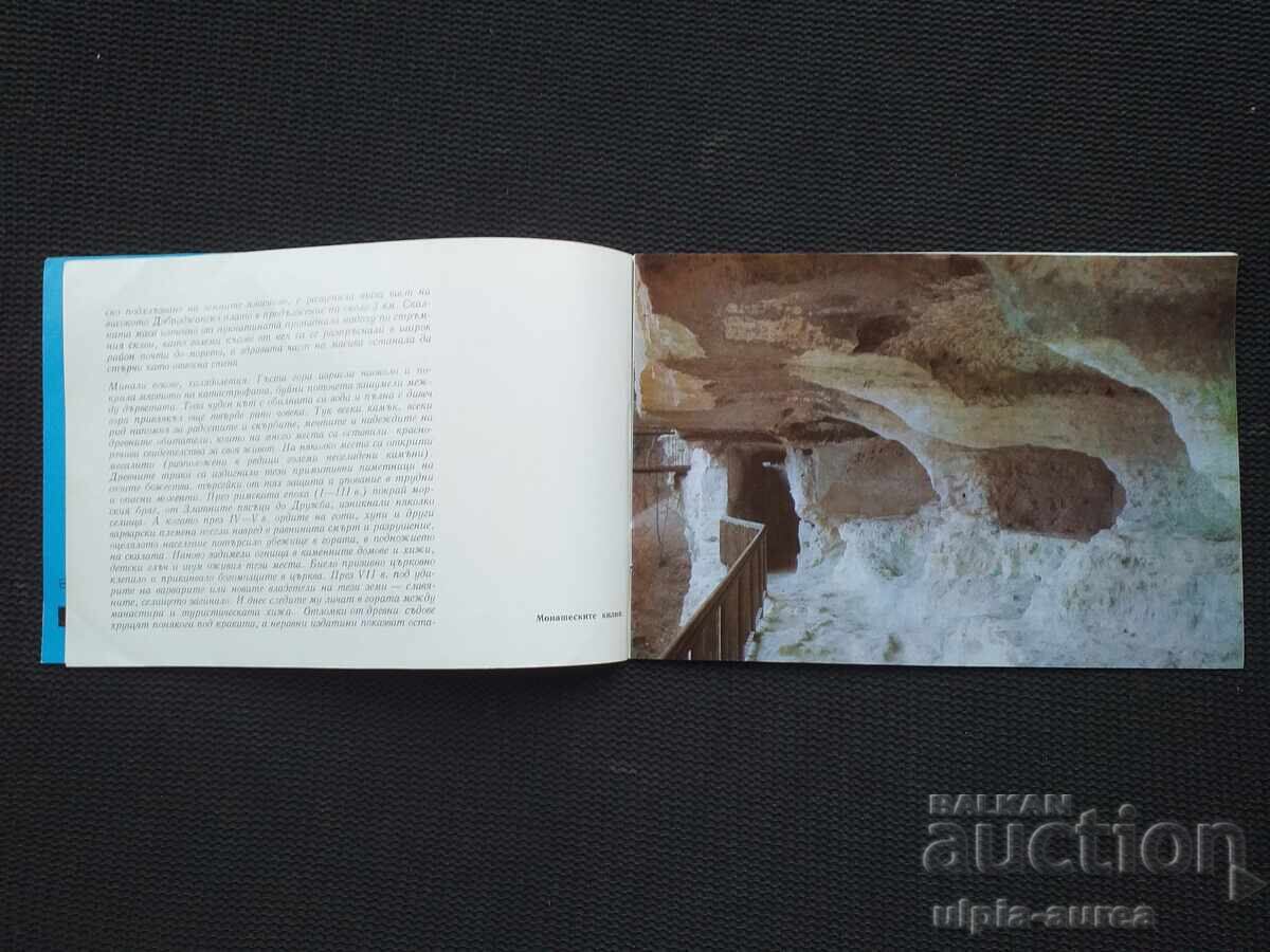 Auction  Social brochure Varna