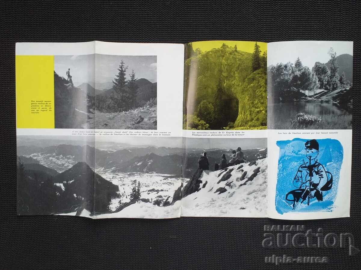 Auction  Social brochure