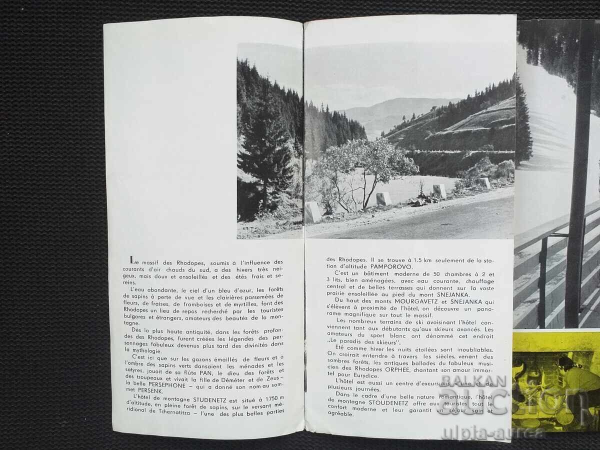 Delivery of Social brochure