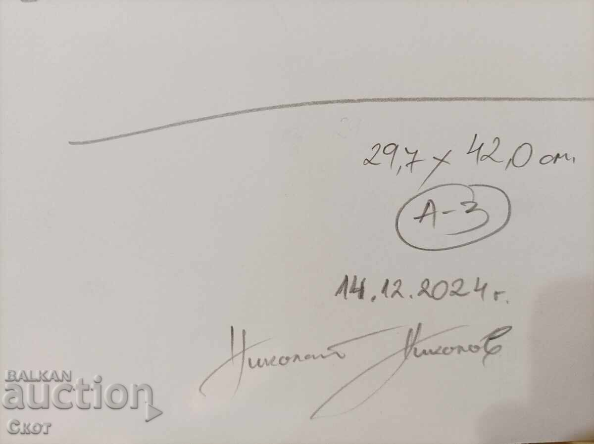 Auction Drawing with ink and colored pencils Auction Drawing with ink and colored pencils