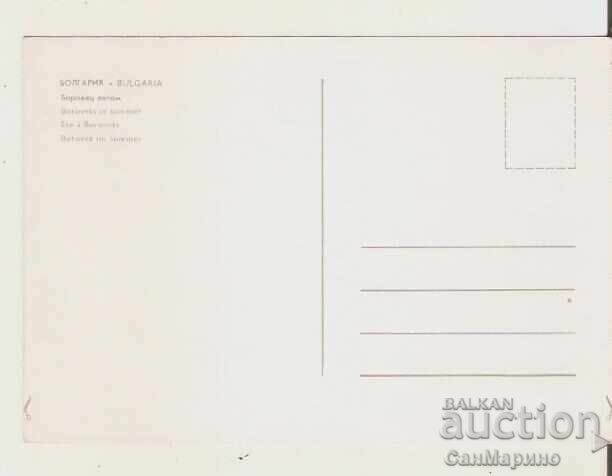 Card Bulgaria Borovets Pesko 7** with price 0.80 BGN | € 0.41 Card Bulgaria Borovets Pesko 7** with price 0.80 BGN | € 0.41