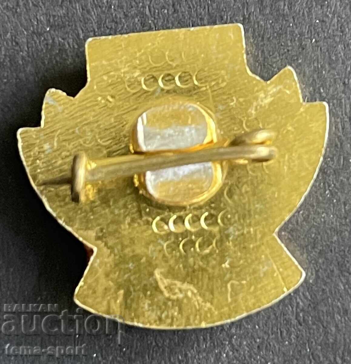 928 Bulgaria football club sign Belasitsa Petrich with price 5.00 BGN | € 2.56 928 Bulgaria football club sign Belasitsa Petrich with price 5.00 BGN | € 2.56