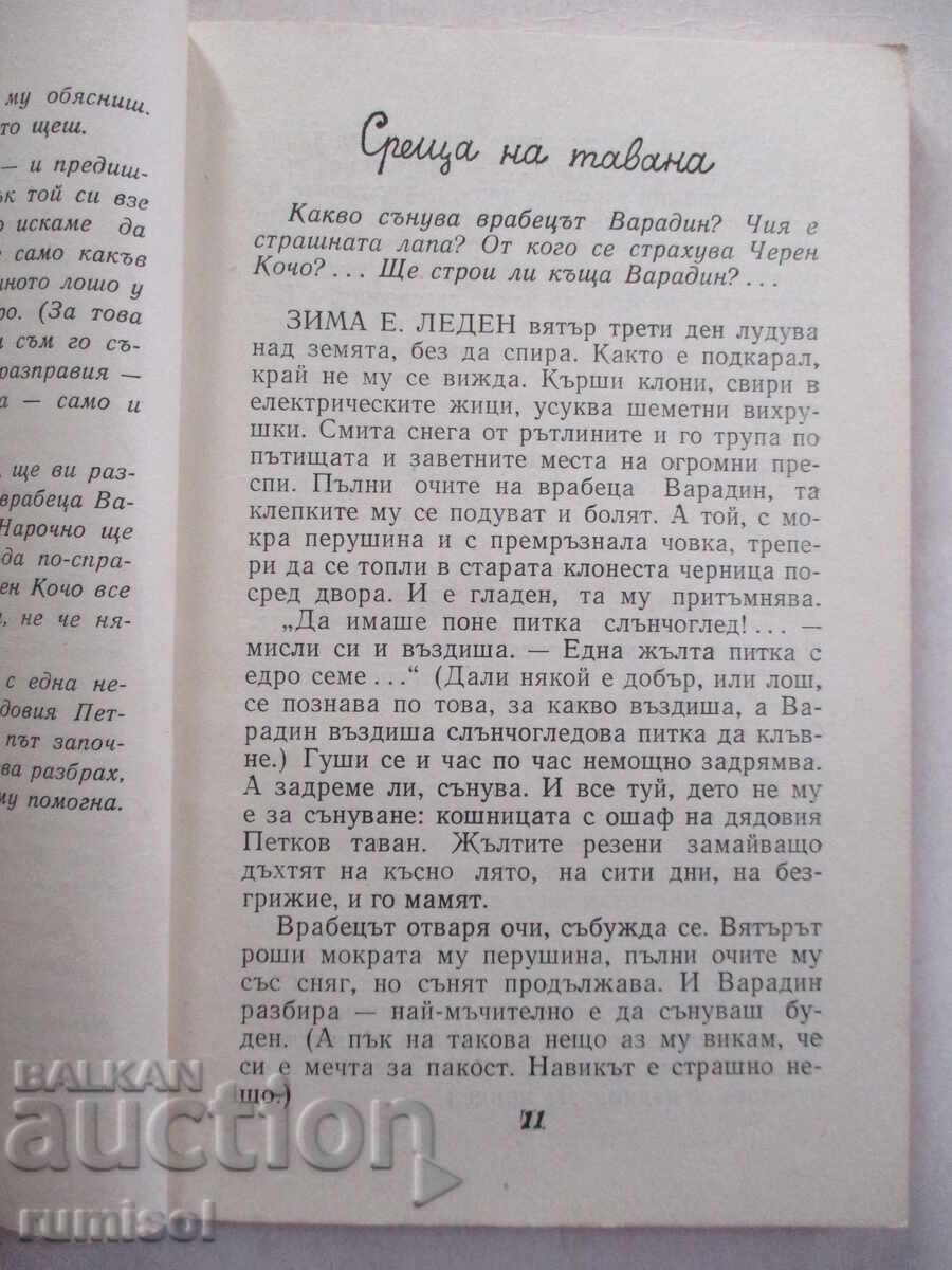 Auction A completely confused story - Metodi Bezhanski Auction A completely confused story - Metodi Bezhanski