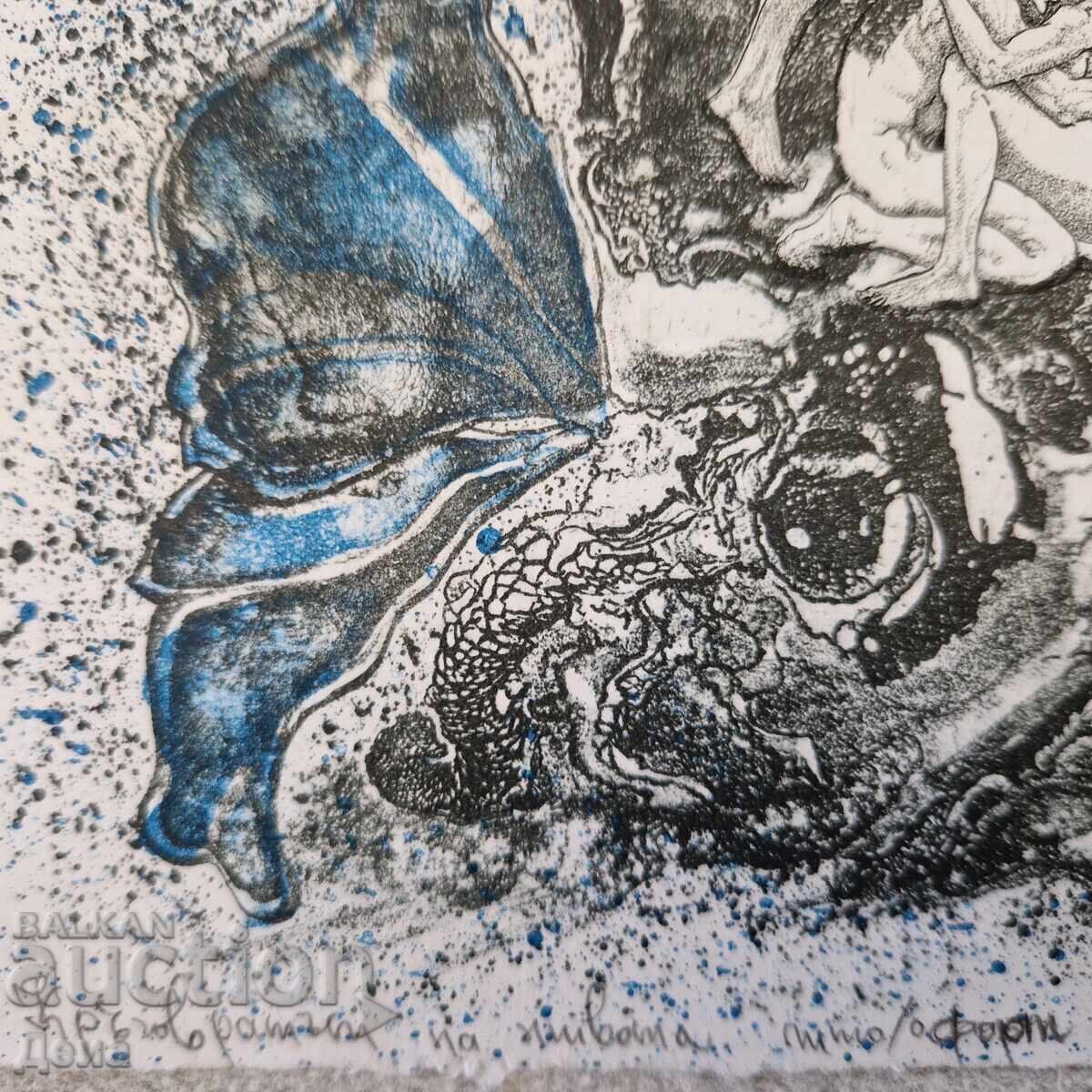 Auction  Katerina Evgenieva graphics 2012