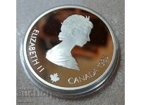 1 OZ Silver Coin Calgary 1988 Descent - Proof