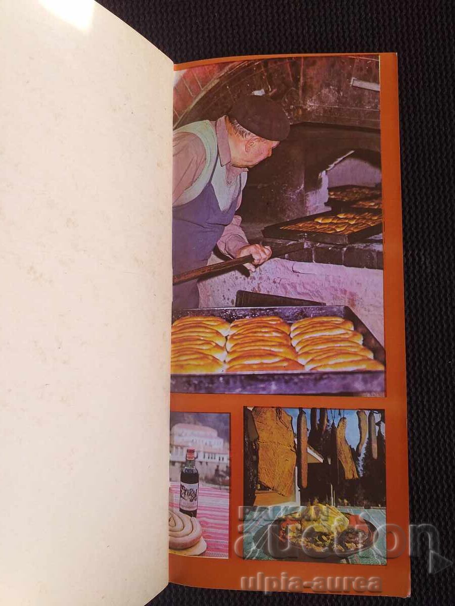 Delivery of Social brochure Balkantourist