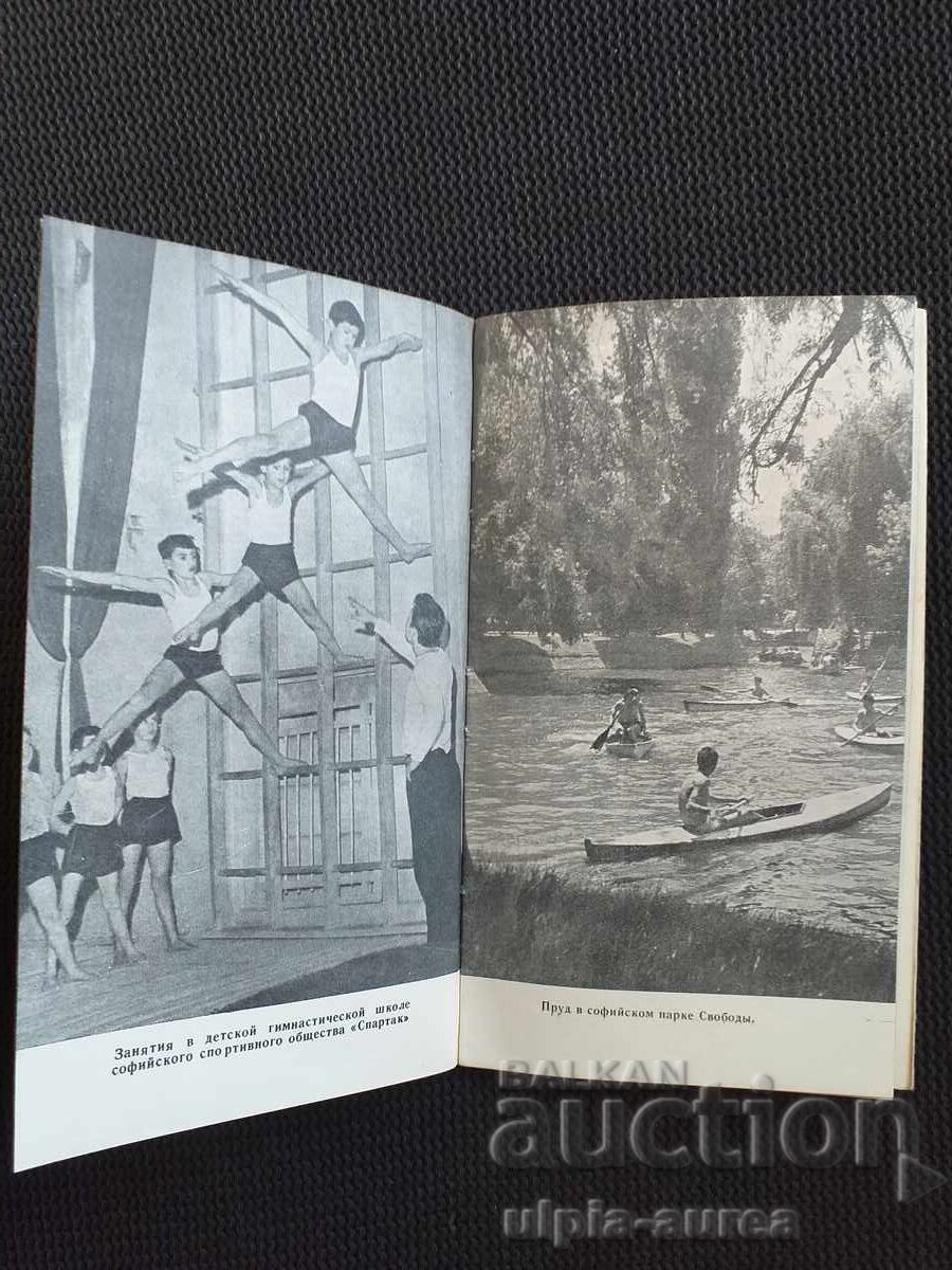 Delivery of Social brochure Sport