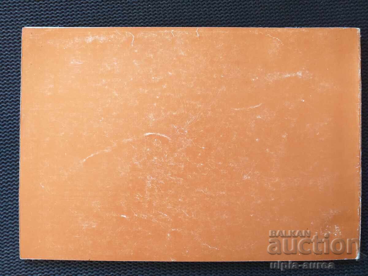 Social brochure Pavlikeni - 5 Social brochure Pavlikeni - 5