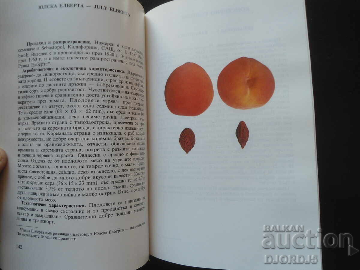 Auction MINOR POMOLOGY, Stone fruit species Auction MINOR POMOLOGY, Stone fruit species