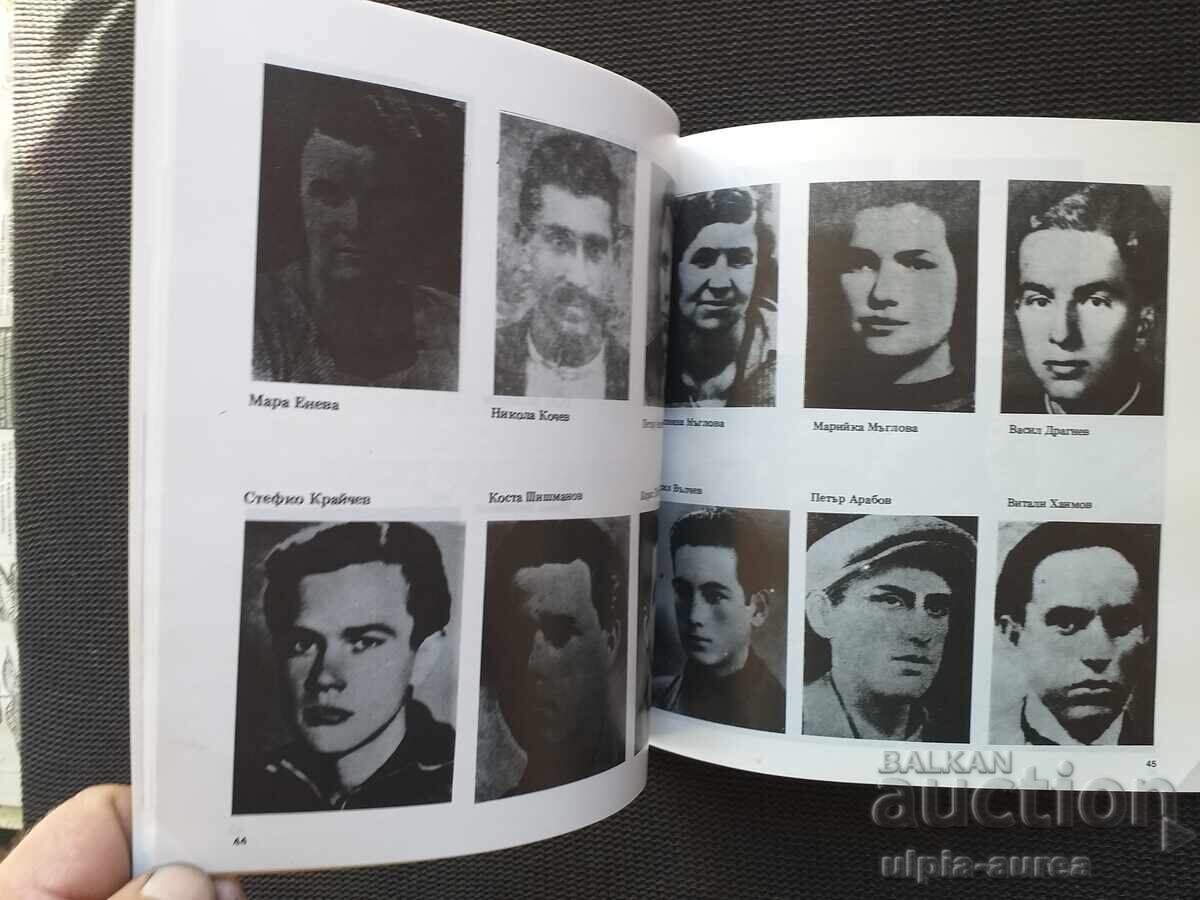 Delivery of Social brochure Delivery of Social brochure