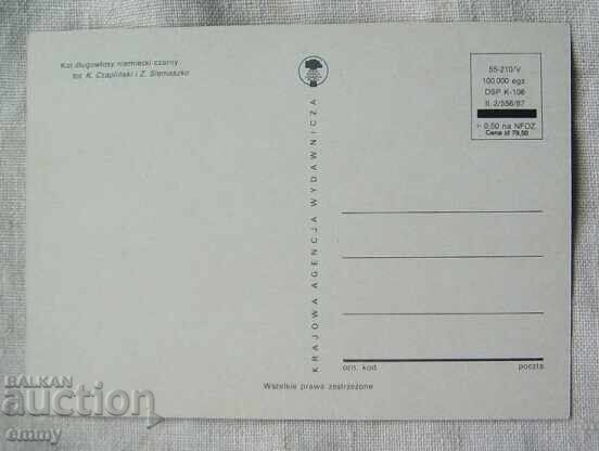 Carte poștală - pisică germană neagră cu păr lung, Polonia cu preț 0.80 BGN | € 0.41 Carte poștală - pisică germană neagră cu păr lung, Polonia cu preț 0.80 BGN | € 0.41