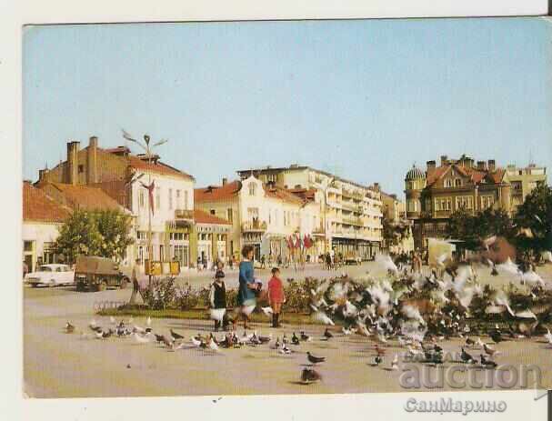 Card Bulgaria Lom Square*