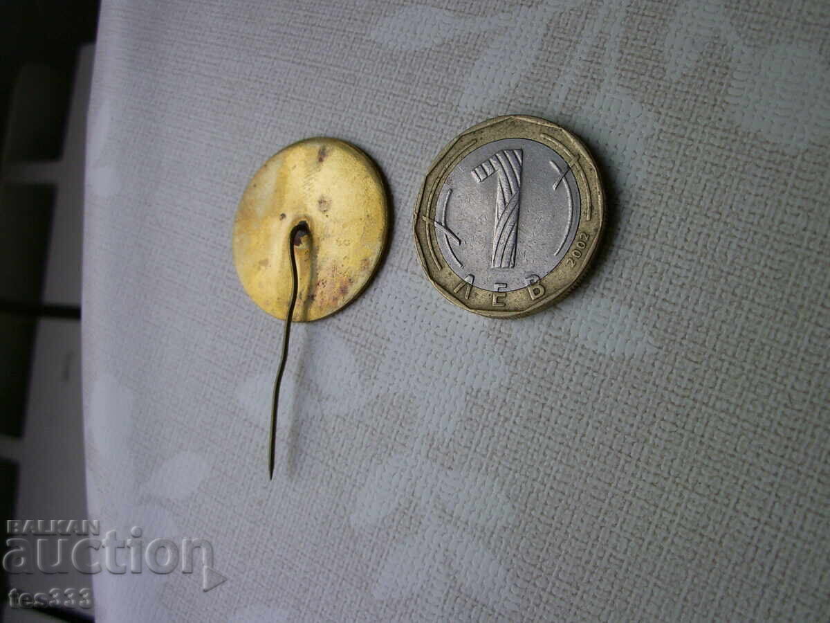 Insigna Ansamblul de Stat pentru Cântece și Dansuri Populare Sofia - 6 Insigna Ansamblul de Stat pentru Cântece și Dansuri Populare Sofia - 6