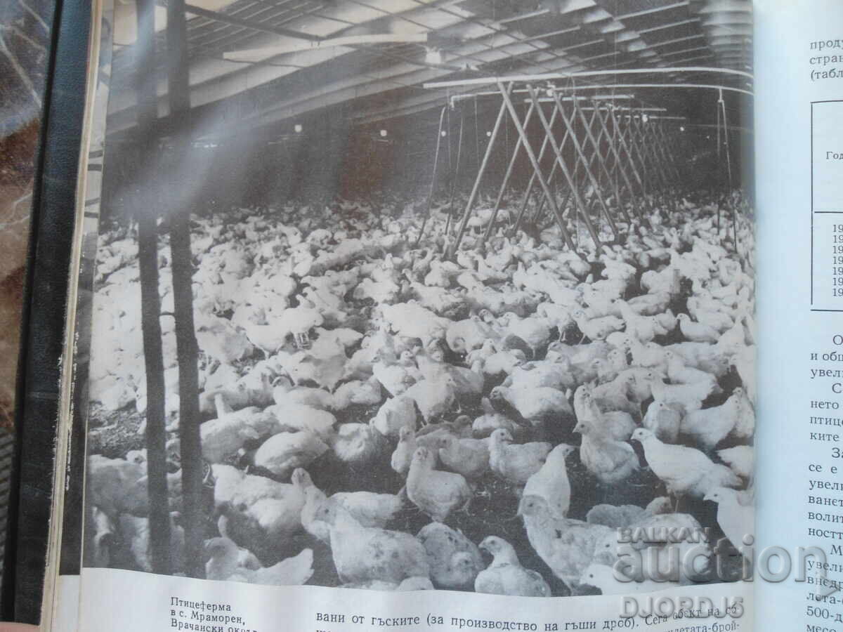 Delivery of Rise of agriculture in Bulgaria