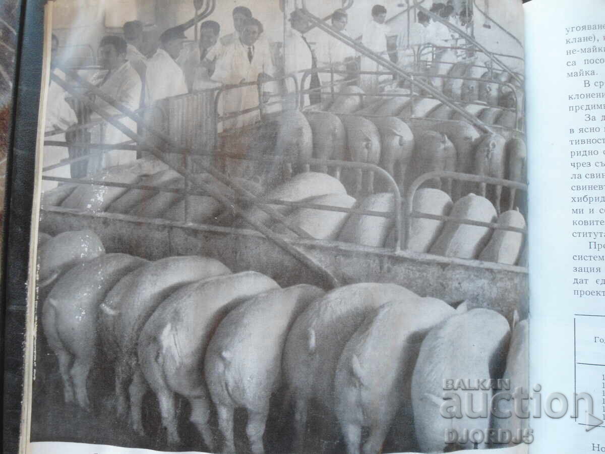 Rise of agriculture in Bulgaria - 5