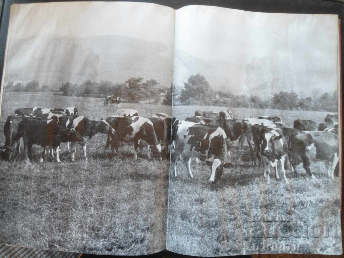 Rise of agriculture in Bulgaria - 6