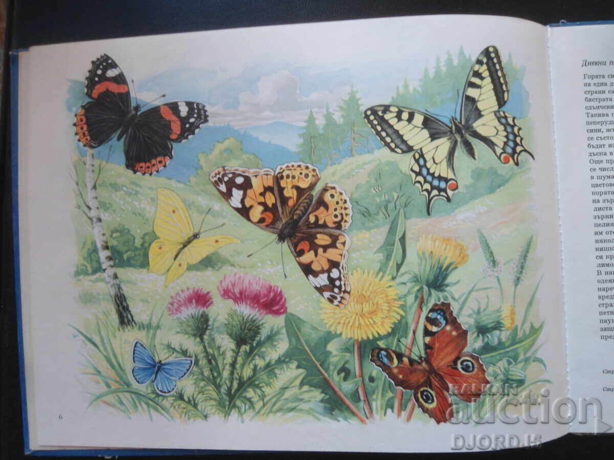 Auction THE WONDERS OF NATURE Auction THE WONDERS OF NATURE