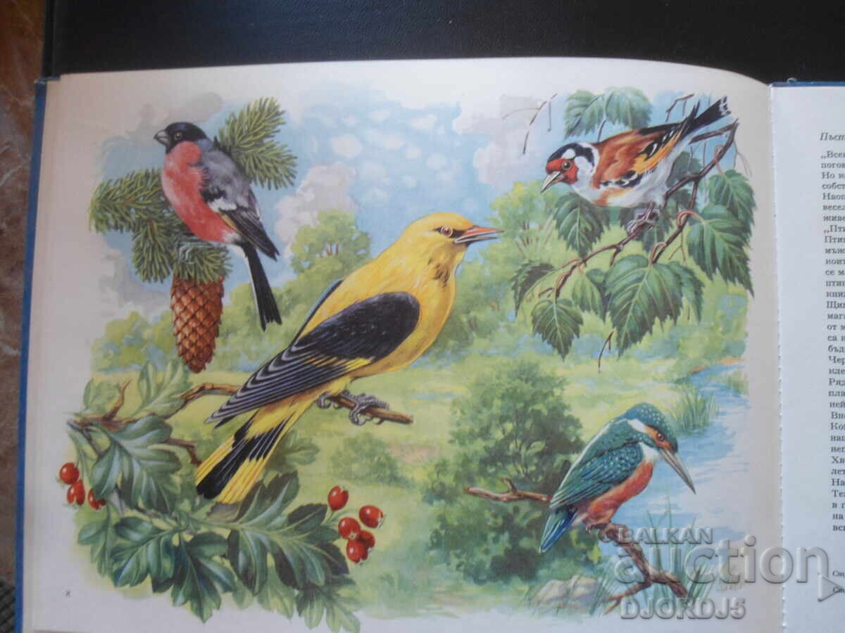 Delivery of THE WONDERS OF NATURE Delivery of THE WONDERS OF NATURE