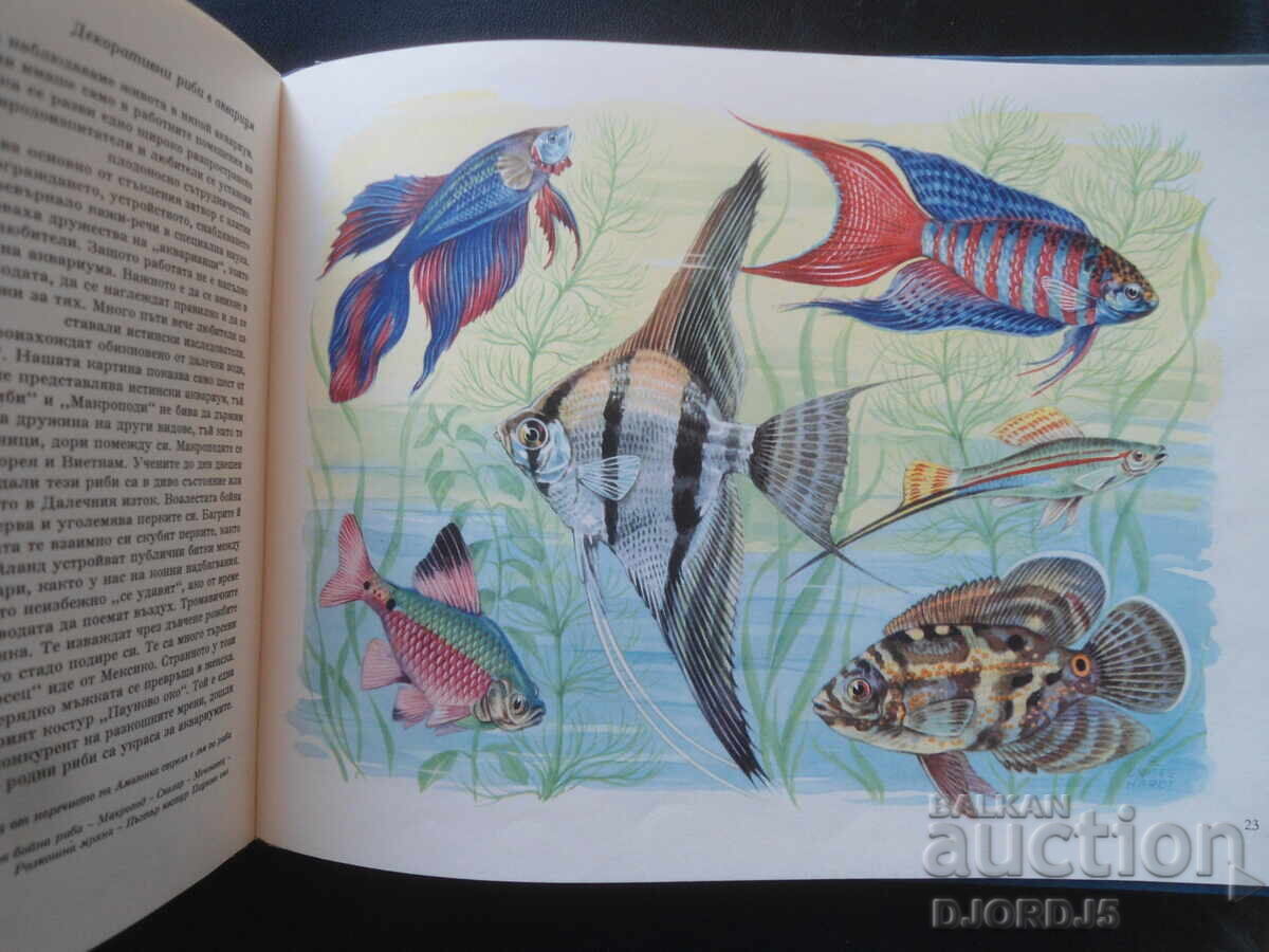 THE WONDERS OF NATURE - 6 THE WONDERS OF NATURE - 6