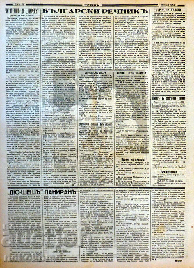 Newspaper: CRICKET with price € 0.01 | 0.02 BGN Newspaper: CRICKET with price € 0.01 | 0.02 BGN