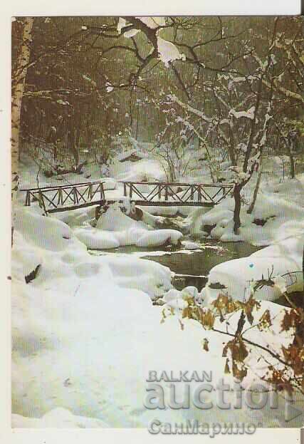 Κάρτα Bulgaria Winter Landscape 3*