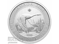 Canada 2025 - 10 USD - Gâscă - 2 OZ , Monedă de argint