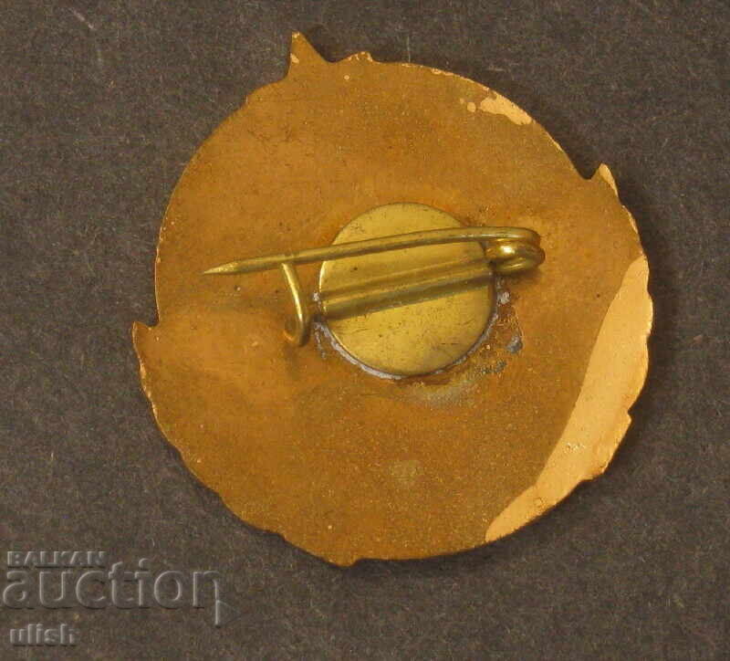 Excellent student in foreign trade export import enamel badge with price 20.00 BGN | € 10.23 Excellent student in foreign trade export import enamel badge with price 20.00 BGN | € 10.23