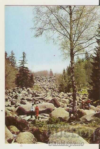 Card Bulgaria Sofia Vitosha Morenites 1**