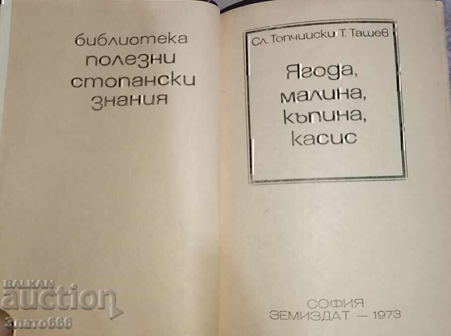 Căpșuni, zmeură, mure, coacăze negre cu preț € 2.50 | 4.89 BGN