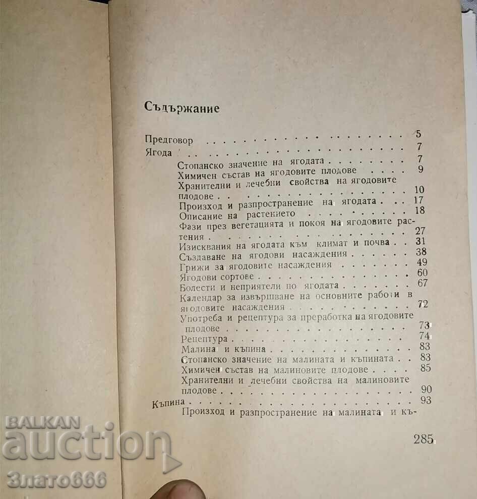 Licitație Căpșuni, zmeură, mure, coacăze negre