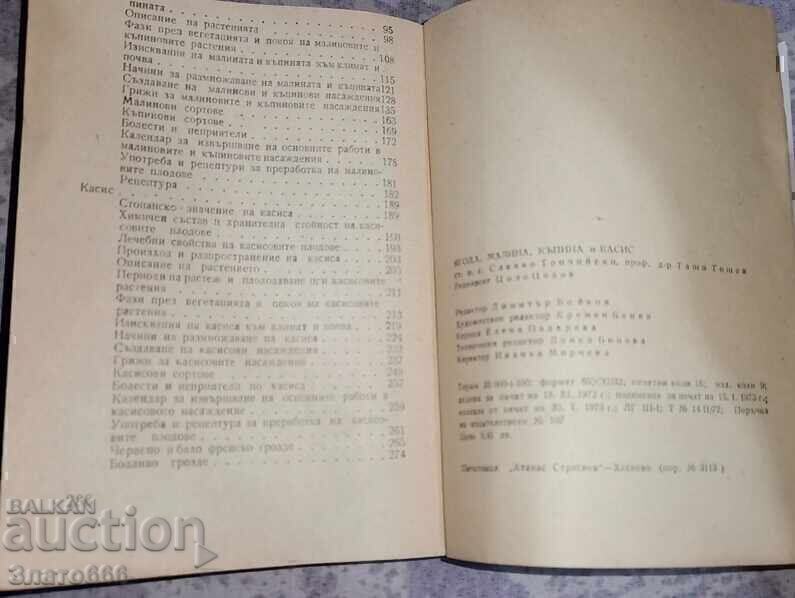 Delivery of Strawberry, raspberry, blackberry, currant Delivery of Strawberry, raspberry, blackberry, currant