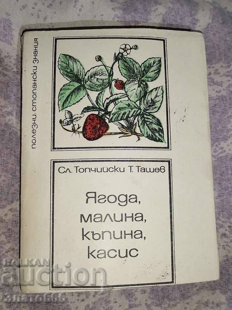 Φράουλα, βατόμουρο, βατόμουρο, φραγκοστάφυλο