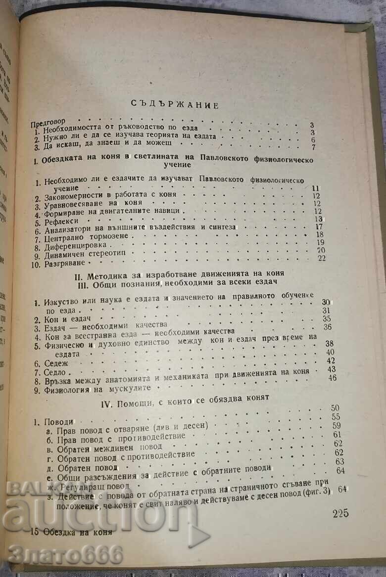 Delivery of Horse riding Delivery of Horse riding