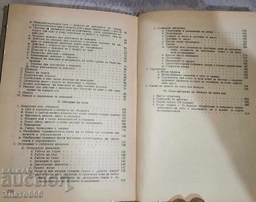 Dresajul calului - 5