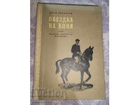 Ντρέσα του αλόγου