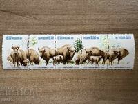 Πολωνία - Διατήρηση της Φύσης - European Bison (1981) MNH