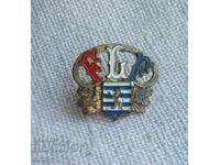 Enameled badge - Luxembourg Football Federation, FLF