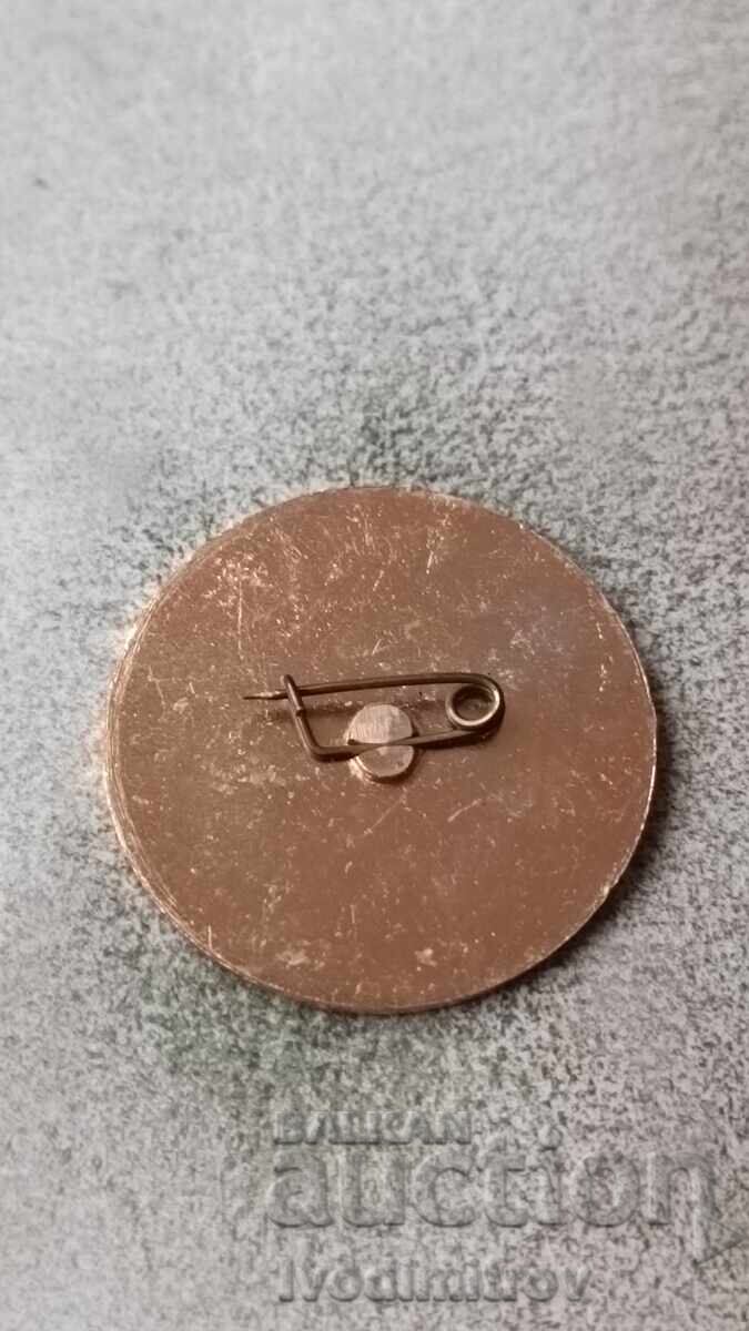 Badge VII International Summer '72 with price 3.45 BGN | € 1.76