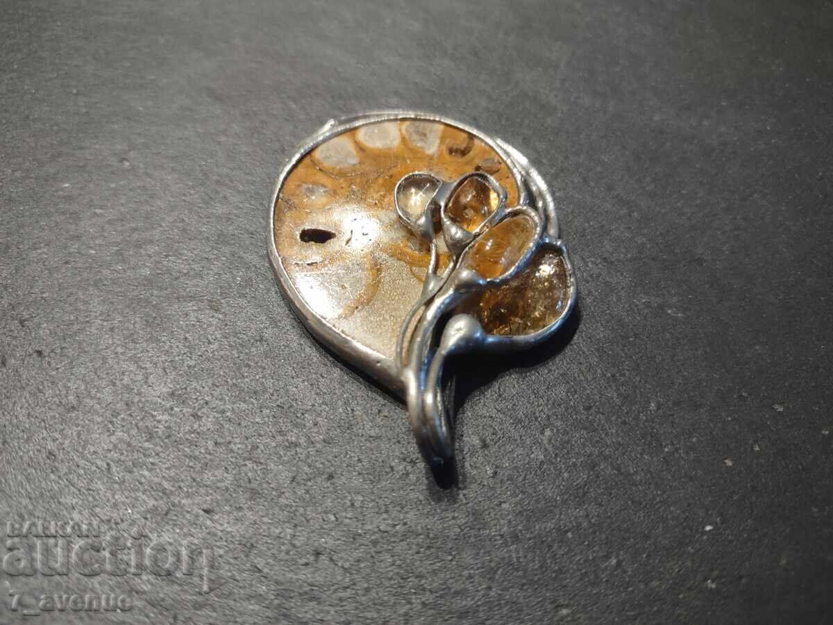 Medallion, old, original, large, with amber 22.12.24 - 5 Medallion, old, original, large, with amber 22.12.24 - 5