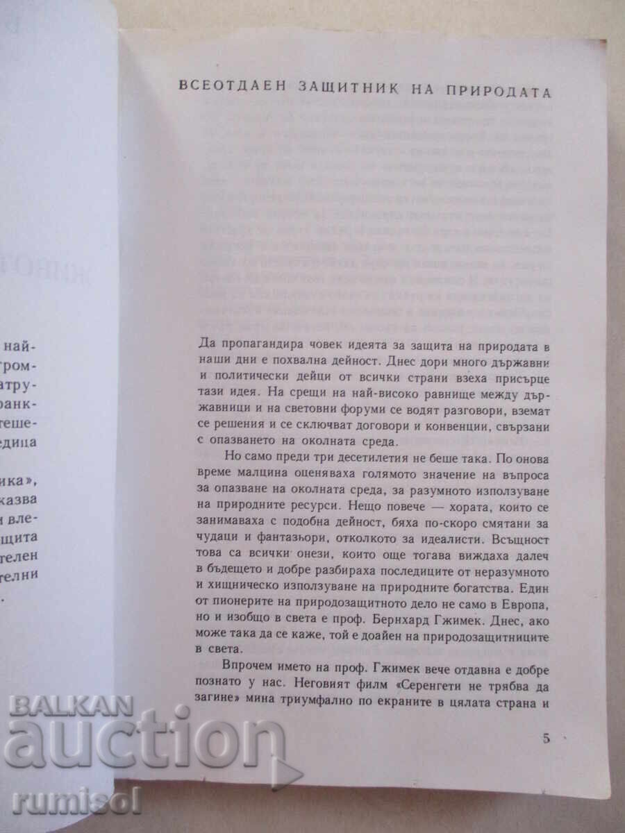 Auction Among the animals of Africa - Bernhard Gjimek Auction Among the animals of Africa - Bernhard Gjimek